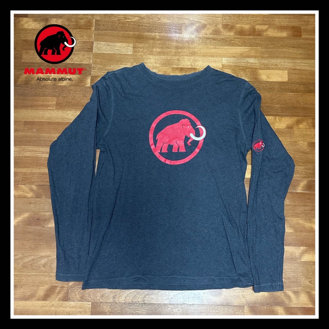 Mammut(マムート)の『マムート ロングＴシャツ』 メンズのトップス(Tシャツ/カットソー(七分/長袖))の商品写真