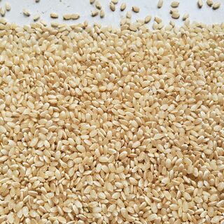 新米 R5年ミルキークイーン白米27ｋｇ小分け版 もちっと食感！玄米も可