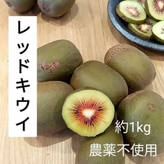 レッドキウイ　約1kg　農薬不使用(フルーツ)