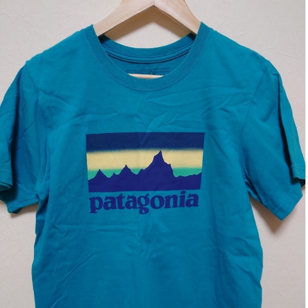 patagonia(パタゴニア)のおきく様専用　パタゴニア　Tシャツ2枚セット メンズのトップス(Tシャツ/カットソー(半袖/袖なし))の商品写真