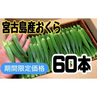 【期間限定価格】宮古島産　おくら　オクラ(野菜)