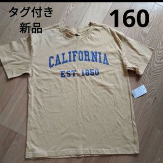 タグ付き新品　　Ｔシャツ(Tシャツ/カットソー)