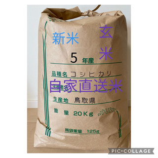 《玄米》  お米20kg 令和5年　鳥取県産 コシヒカリ《玄米》 (米/穀物)