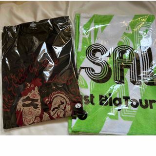 ビーズ(B'z)のINABA SALAS 2020 イナバサラス TシャツL & タオル　イナサラ(ミュージシャン)