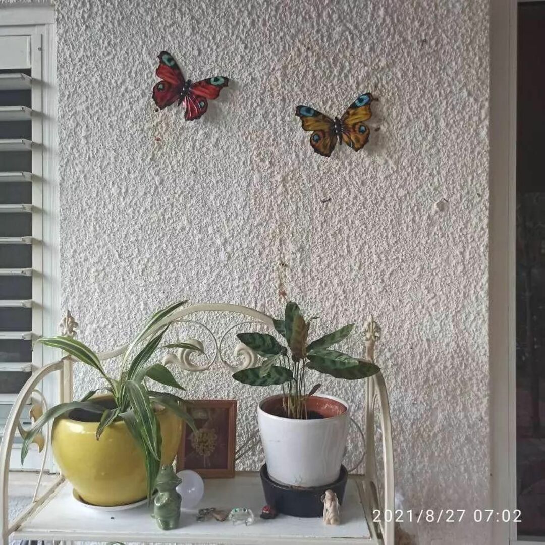 蝶々　ぷくぷく　立体　飾り　壁　インテリア　金属　パープル　植物　写真　撮影 インテリア/住まい/日用品のインテリア小物(その他)の商品写真