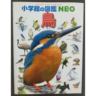 ショウガクカン(小学館)の★AHIk様専用★「小学館の図鑑ＮＥＯ　鳥」(絵本/児童書)