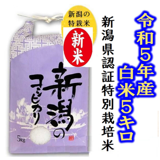 令和5年産　新潟コシヒカリ・新潟県認証特別栽培米　白米か玄米5キロ 1個05(米/穀物)