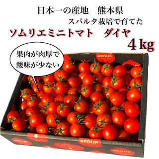 【塩トマトのようなフルーツトマト】ソムリエミニトマト　ダイヤ　４ｋｇ(野菜)