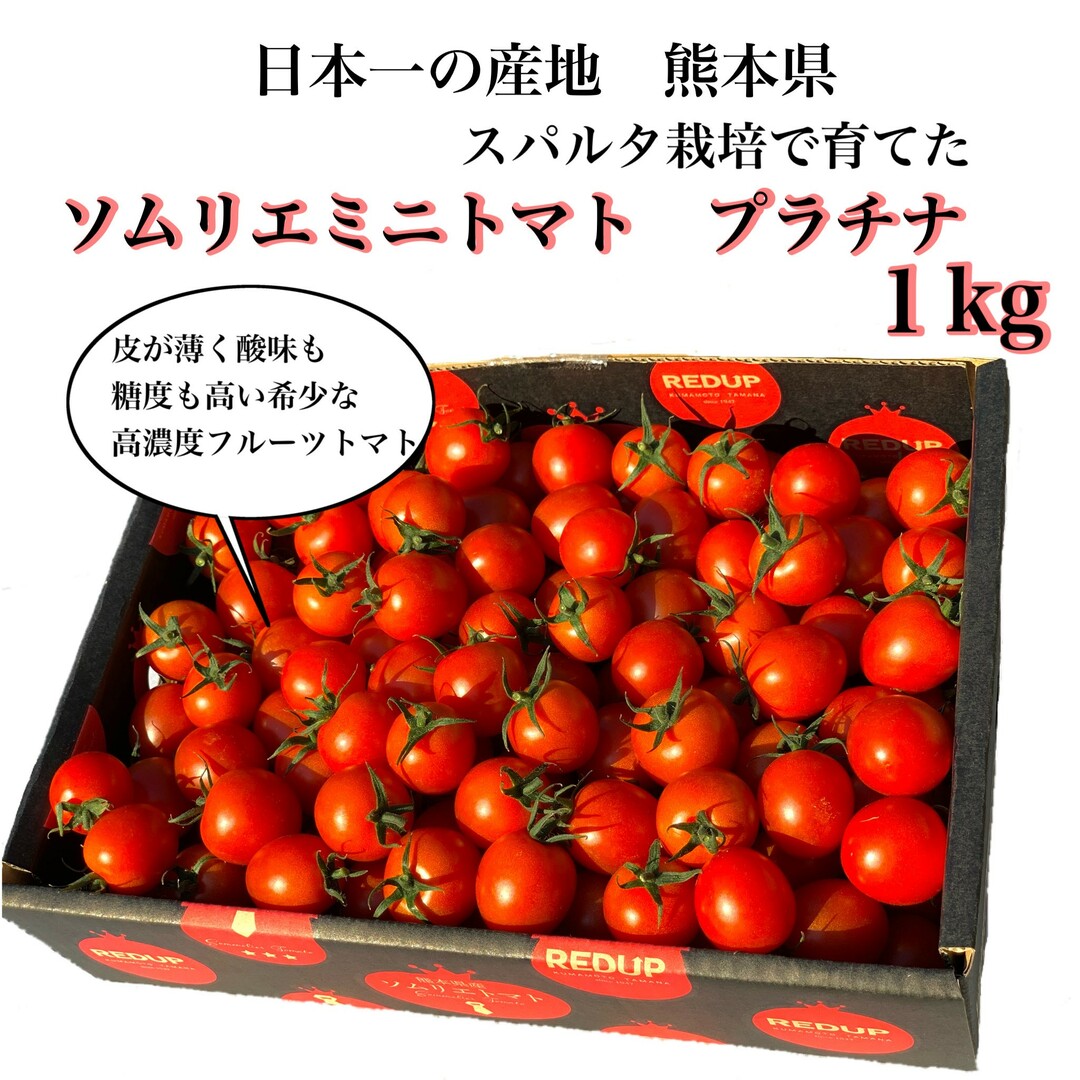 【希少な高濃度フルーツトマト】ソムリエミニトマト　プラチナ　１ｋｇ（約６０玉～９０玉） 食品/飲料/酒の食品(野菜)の商品写真