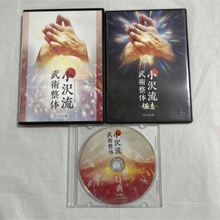 小沢真太郎先生 小沢流武術整体 DVDの通販|ラクマ