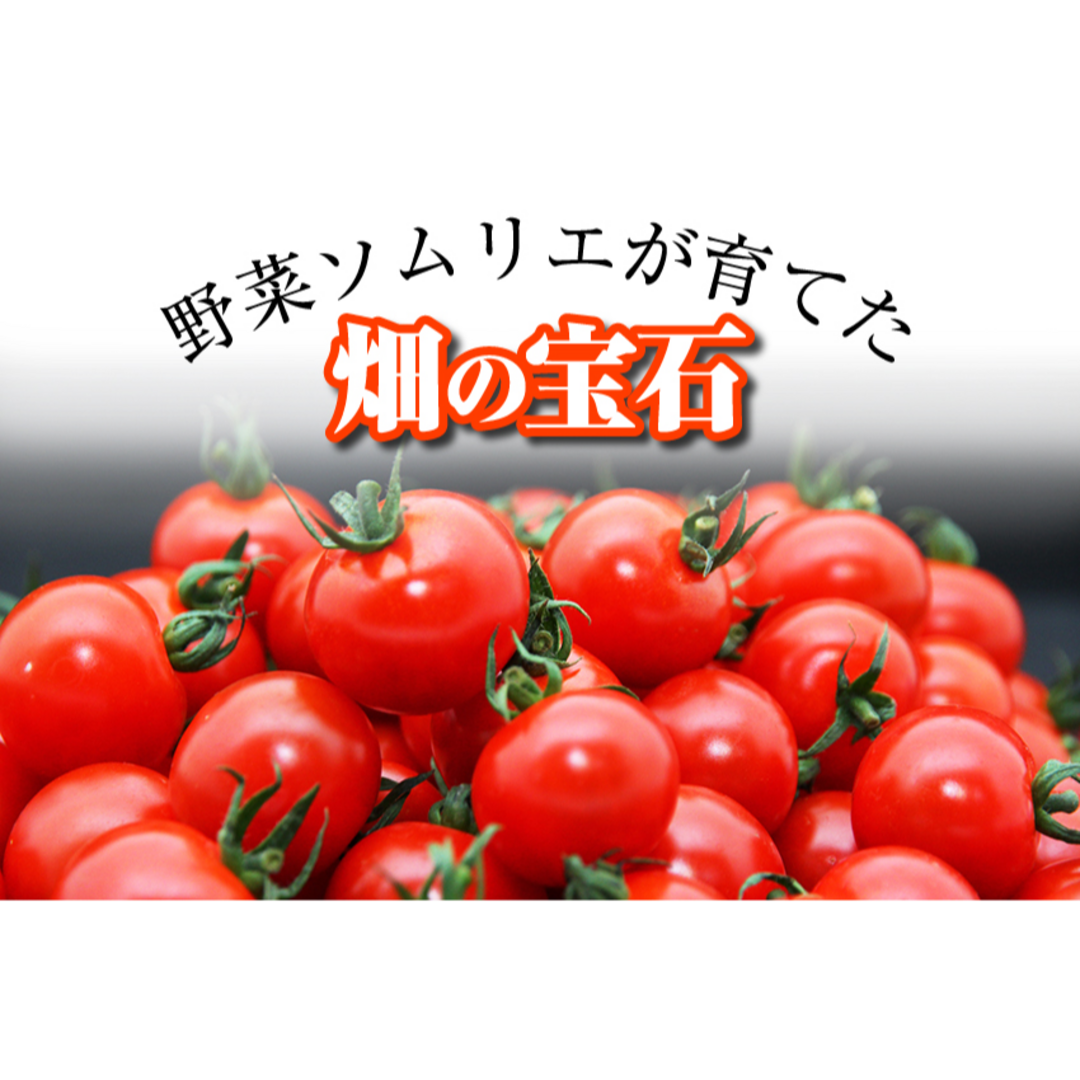 【希少な高濃度フルーツトマト】ソムリエミニトマト　プラチナ　箱込み　２ｋｇ（９０玉～１５０玉） 食品/飲料/酒の食品(野菜)の商品写真