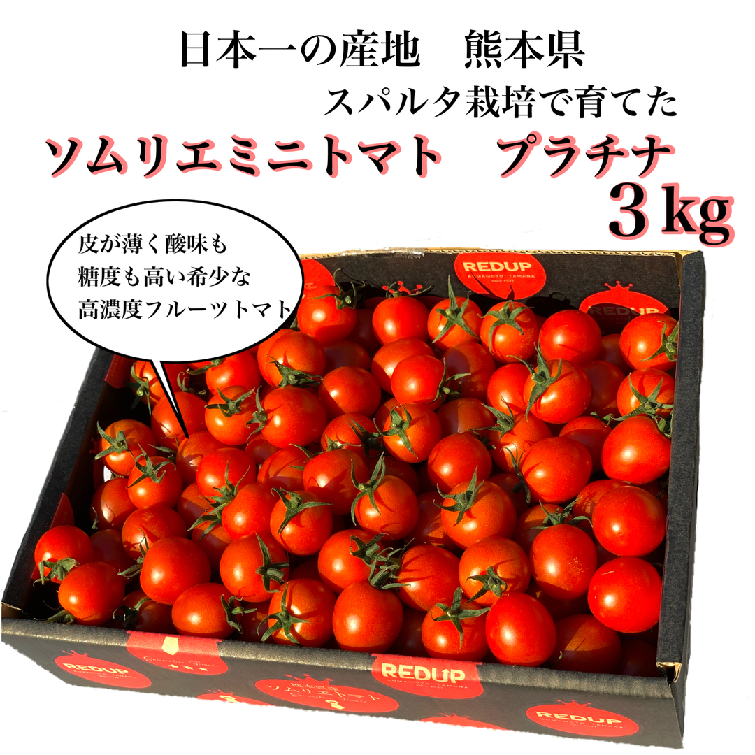 【希少な高濃度フルーツトマト】ソムリエミニトマト　プラチナ　３ｋｇ 食品/飲料/酒の食品(野菜)の商品写真