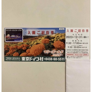 最新 東京ドイツ村 入場ご招待券 2023年12月31日迄 1枚 割引券　優待券(遊園地/テーマパーク)