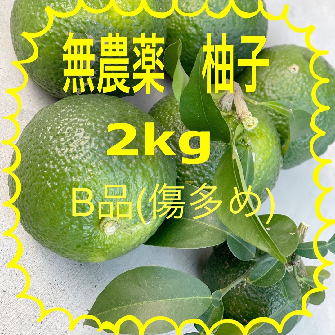 埼玉県産　青柚子　柚子　ゆず　2キロ　農薬栽培期間中不使用 食品/飲料/酒の食品(フルーツ)の商品写真