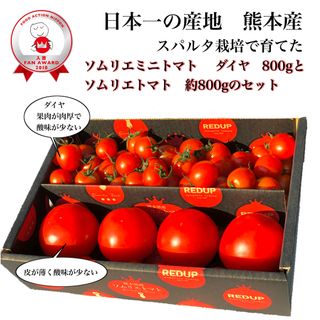 ソムリエトマト約８００ｇとソムリエミニトマト　ダイヤ８００ｇのセット(野菜)