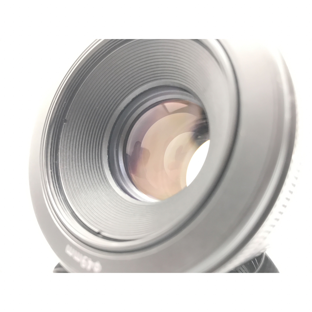 単焦点の最高傑作CANON EF 50mm f1.8 STMでございます。