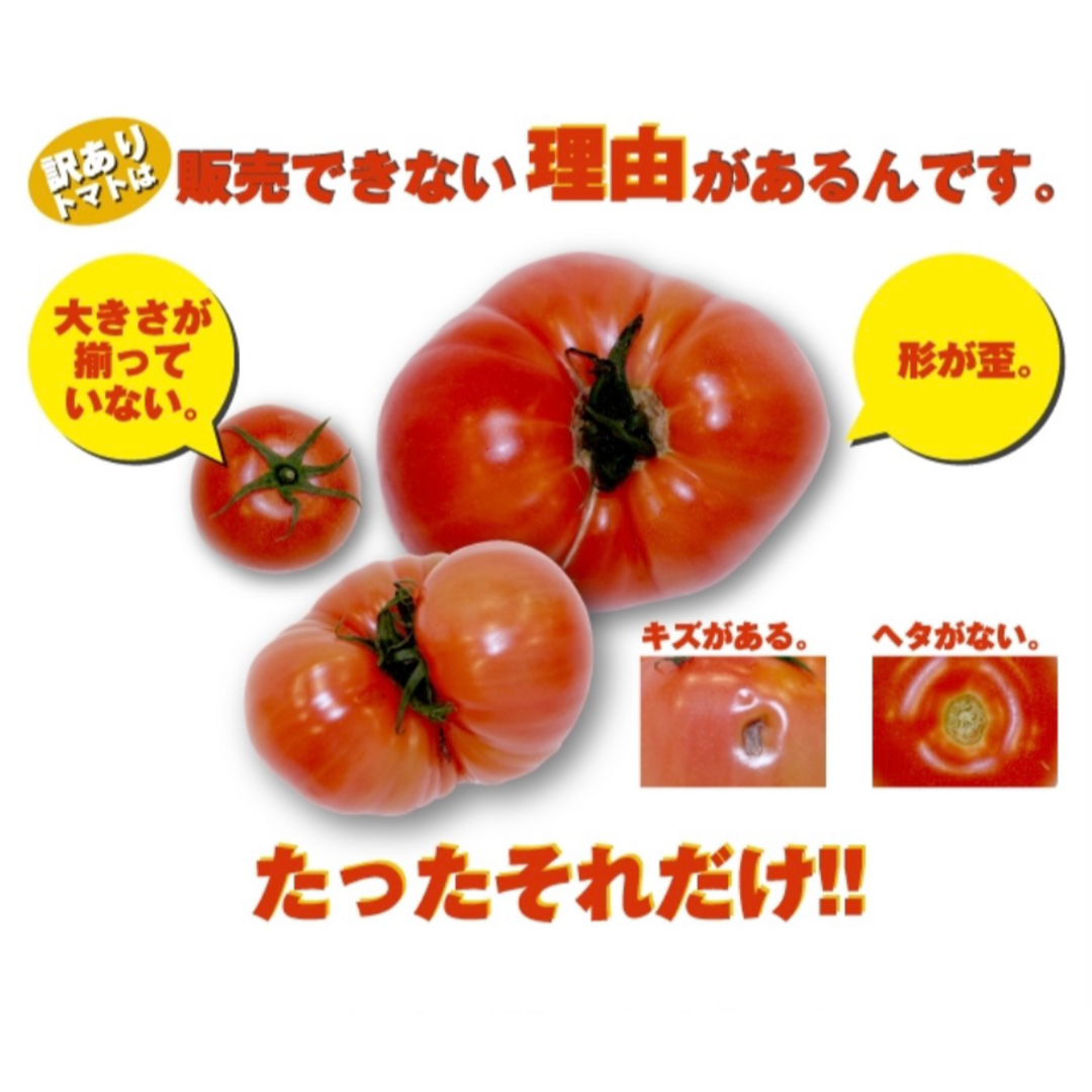 受賞歴３回！訳ありソムリエトマト４．５～６．５ｋｇ②のオマケ付き 食品/飲料/酒の食品(野菜)の商品写真