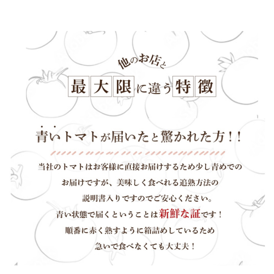 受賞歴３回！訳ありソムリエトマト４．５～６．５ｋｇ②のオマケ付き 食品/飲料/酒の食品(野菜)の商品写真