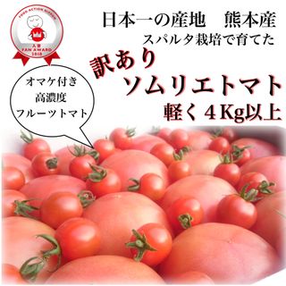 受賞歴３回！訳ありソムリエトマト４．５～６．５ｋｇ②のオマケ付き(野菜)