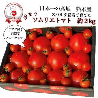 受賞歴３回！訳ありソムリエトマト２～３．５ｋｇ②のオマケ付き(野菜)