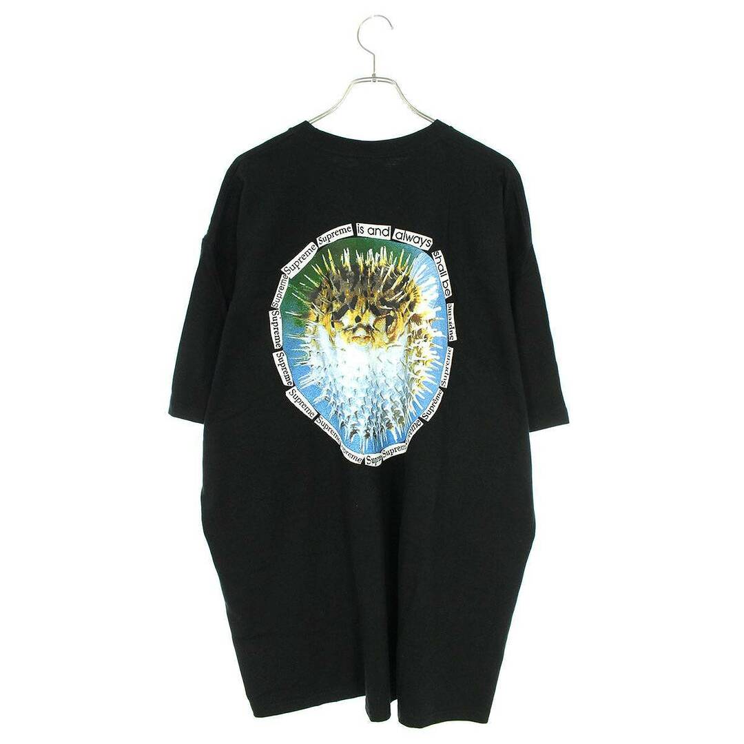 シュプリーム  23SS  Blowfish tee ブロウフィッシュTシャツ メンズ XXL