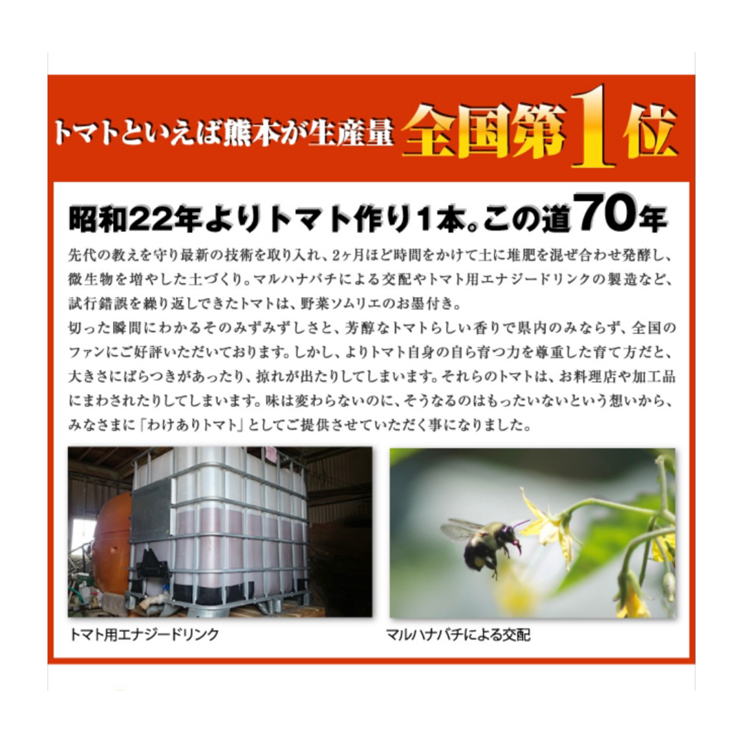 受賞歴３回！訳ありソムリエトマト４．５～６．５ｋｇ③のオマケ付き 食品/飲料/酒の食品(野菜)の商品写真