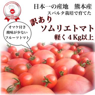 受賞歴３回！訳ありソムリエトマト４．５～６．５ｋｇ③のオマケ付き(野菜)