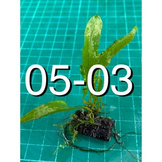 中古】 6ページ目 - アクアリウムの通販 30,000点以上(その他) | お