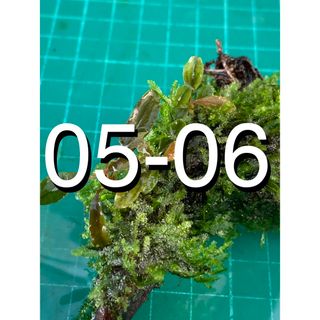 中古】 6ページ目 - アクアリウムの通販 30,000点以上(その他) | お