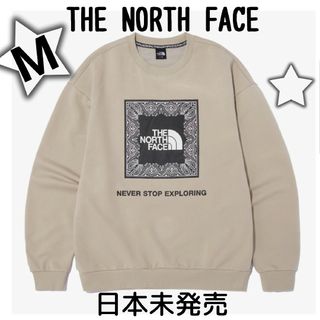 ノースフェイス(THE NORTH FACE) ボックスロゴ スウェット(メンズ)の ...