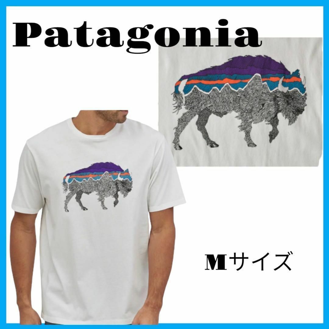 【新品未使用】Patagonia Tシャツ Mサイズ ホワイト 38565