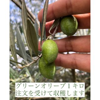 きさらぎ様専用(野菜)