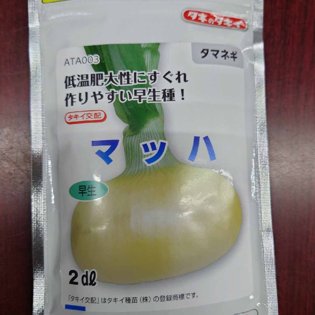 玉ねぎ苗【早生品種マッハ１００本】 食品/飲料/酒の食品(野菜)の商品写真