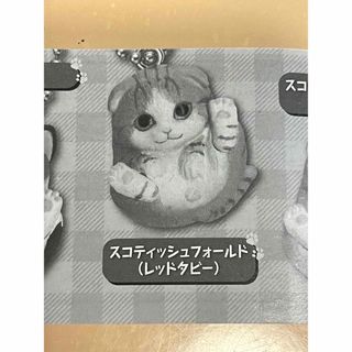 タカラトミーアーツ(T-ARTS)のまんまるねこ　〜人気ねこちゃん大集合！〜　スコテッシュフォールド(レッドタビー)(その他)