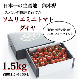 【極み】塩トマトのようなフルーツトマト　ソムリエミニトマト　ダイヤ１.5kg（９０玉～１５０玉）(野菜)