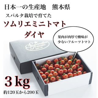 【極み】塩トマトのようなフルーツトマト　ソムリエミニトマト　ダイヤ３kg（１２０玉～２００玉）(野菜)