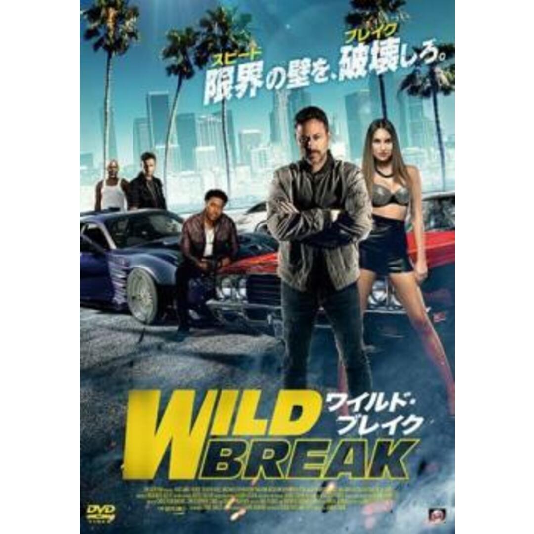 [307746-175]ワイルド・ブレイク【洋画 中古 DVD】ケース無:: レンタル落ち エンタメ/ホビーのDVD/ブルーレイ(外国映画)の商品写真