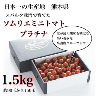 【極み】希少な高濃度フルーツトマト　ソムリエミニトマト　プラチナ１.5kg（９０玉～１５０玉）(野菜)