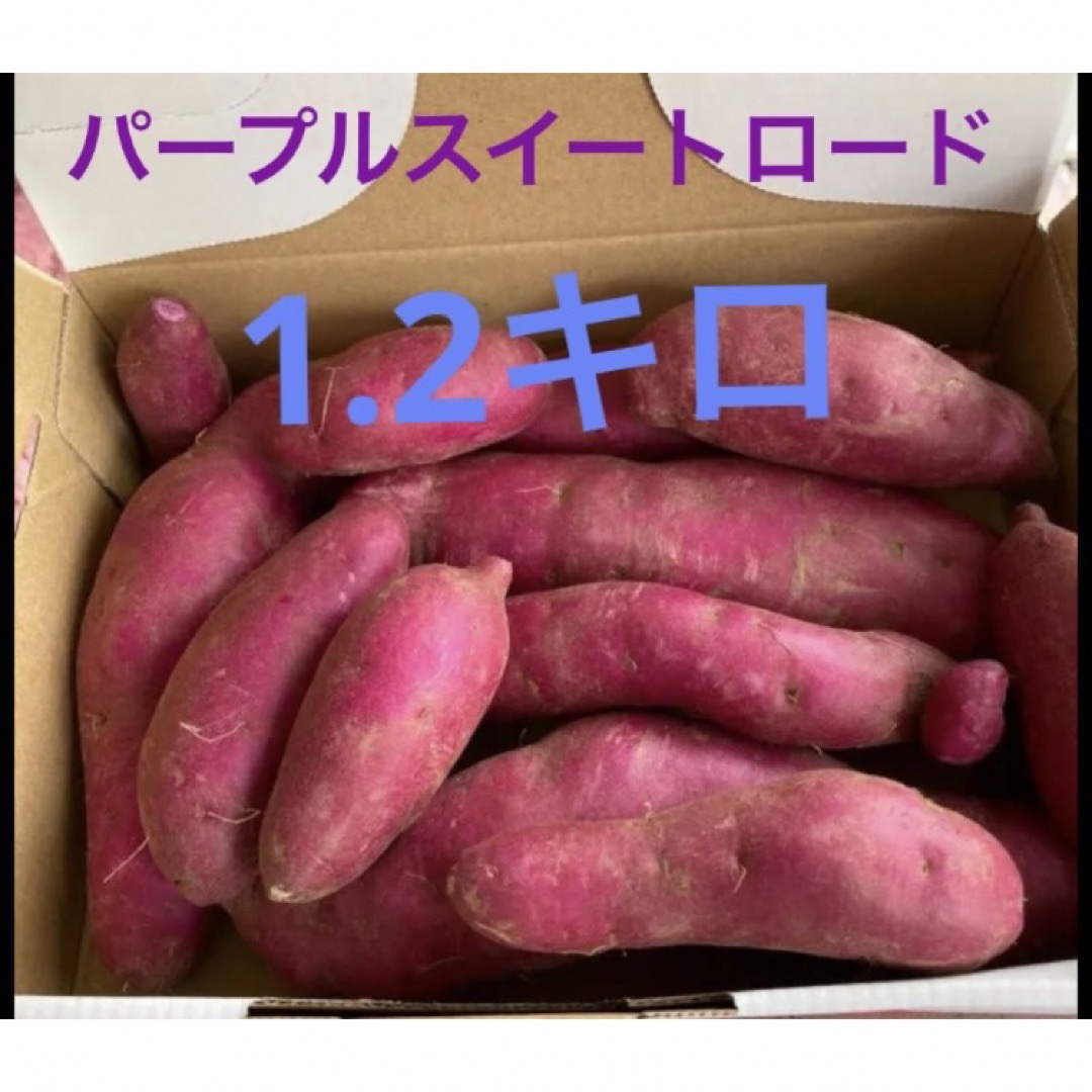 長野県産　パープルスイートロード　1.2キロ 食品/飲料/酒の食品(野菜)の商品写真