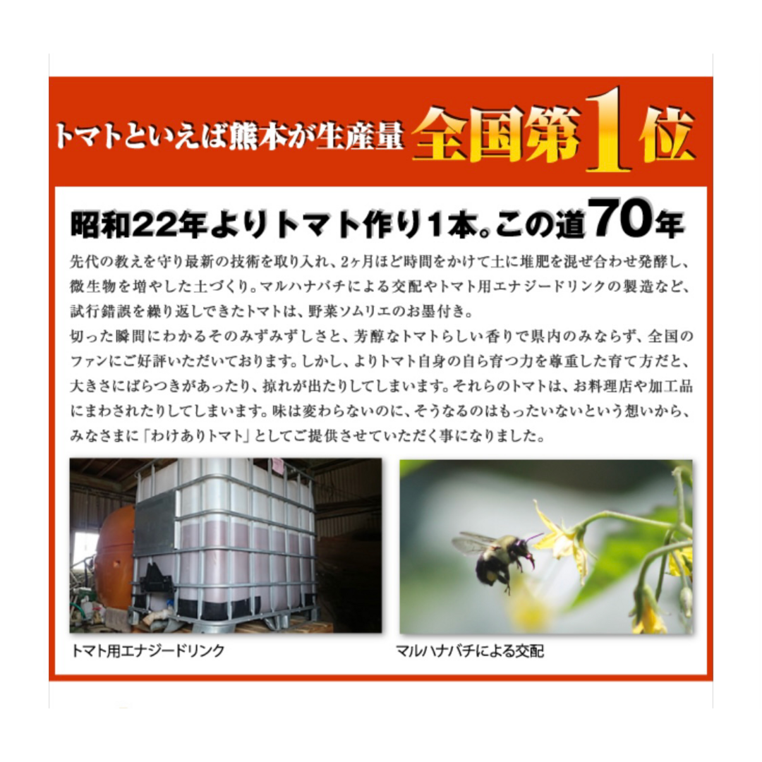 【極み】希少な高濃度フルーツトマト　ソムリエミニトマト　プラチナ３kg（１２０玉～２００玉） 食品/飲料/酒の食品(野菜)の商品写真