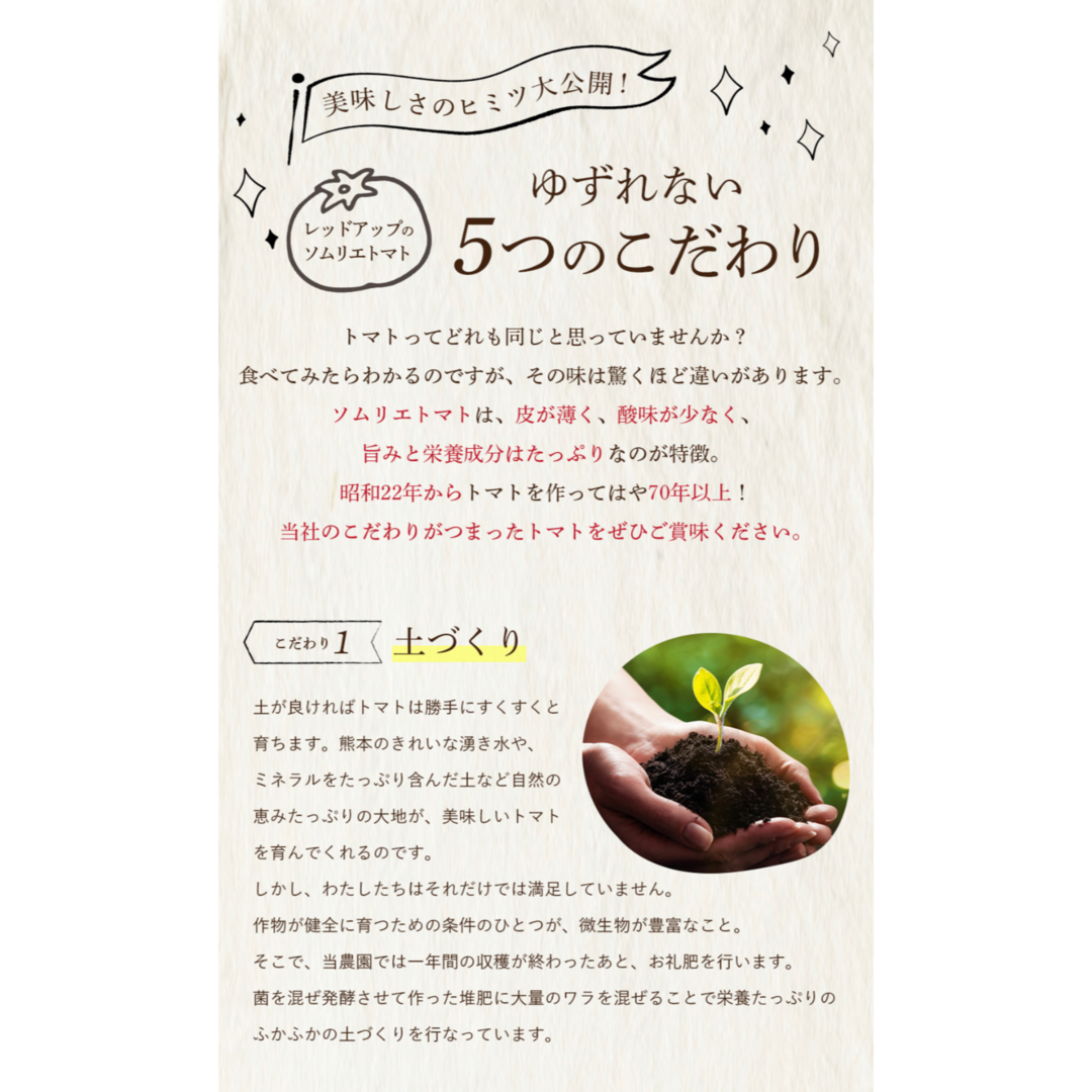 【極み】希少な高濃度フルーツトマト　ソムリエミニトマト　プラチナ３kg（１２０玉～２００玉） 食品/飲料/酒の食品(野菜)の商品写真