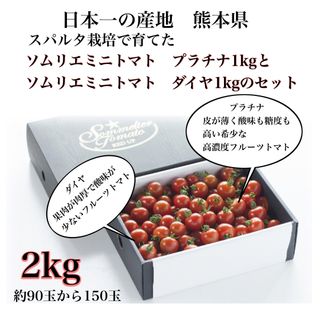 【極み】食べ比べ　ソムリエミニトマト　プラチナ1kgとダイヤ1kgのセット(野菜)