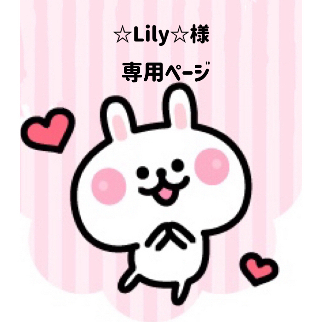 lilyさま 専用