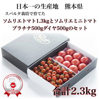 【極み】ソムリエトマト１.３kg （６玉から１０玉）ソムリエミニトマト　プラチナ５００ｇとダイヤ５００ｇのセット(野菜)