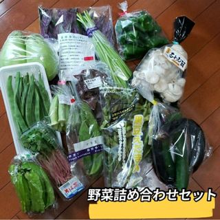 野菜詰め合わせ　野菜セット(野菜)