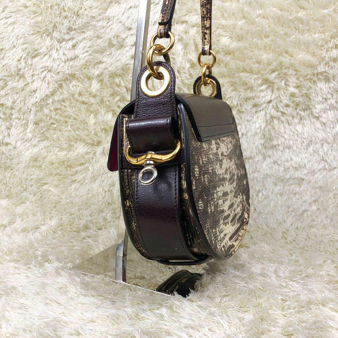 Chloe(クロエ)の超希少・極美品✨クロエ テス 2way ショルダーバッグ パイソン ピンク レディースのバッグ(ショルダーバッグ)の商品写真