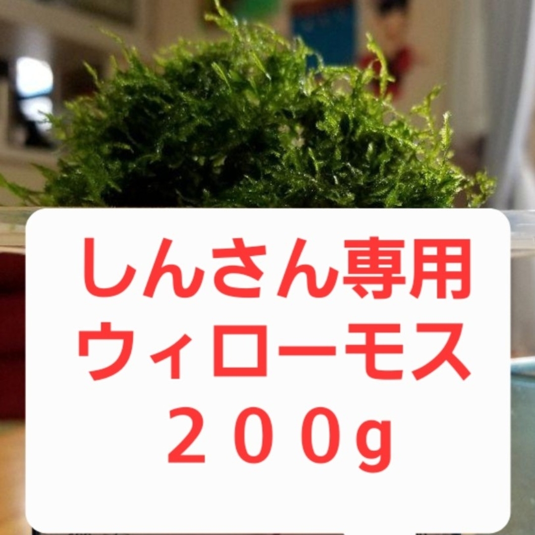 しんさん専用ウィローモス200gの通販 by がっちゃん8653's shop|ラクマ