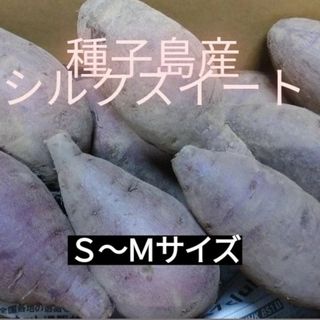 種子島産シルクスイート　2キロ(野菜)