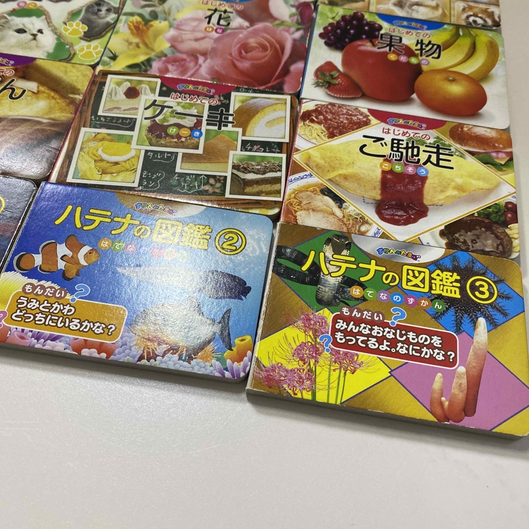 SEGA ずかんのたまご　17冊 エンタメ/ホビーの本(絵本/児童書)の商品写真