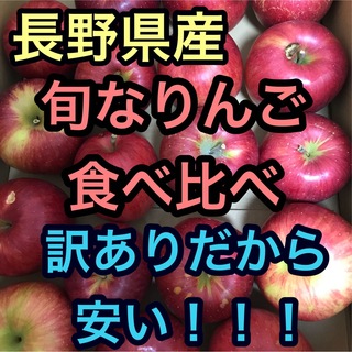 訳ありりんご食べ比べSET約10kg 長野県産　北海道沖縄不可(フルーツ)